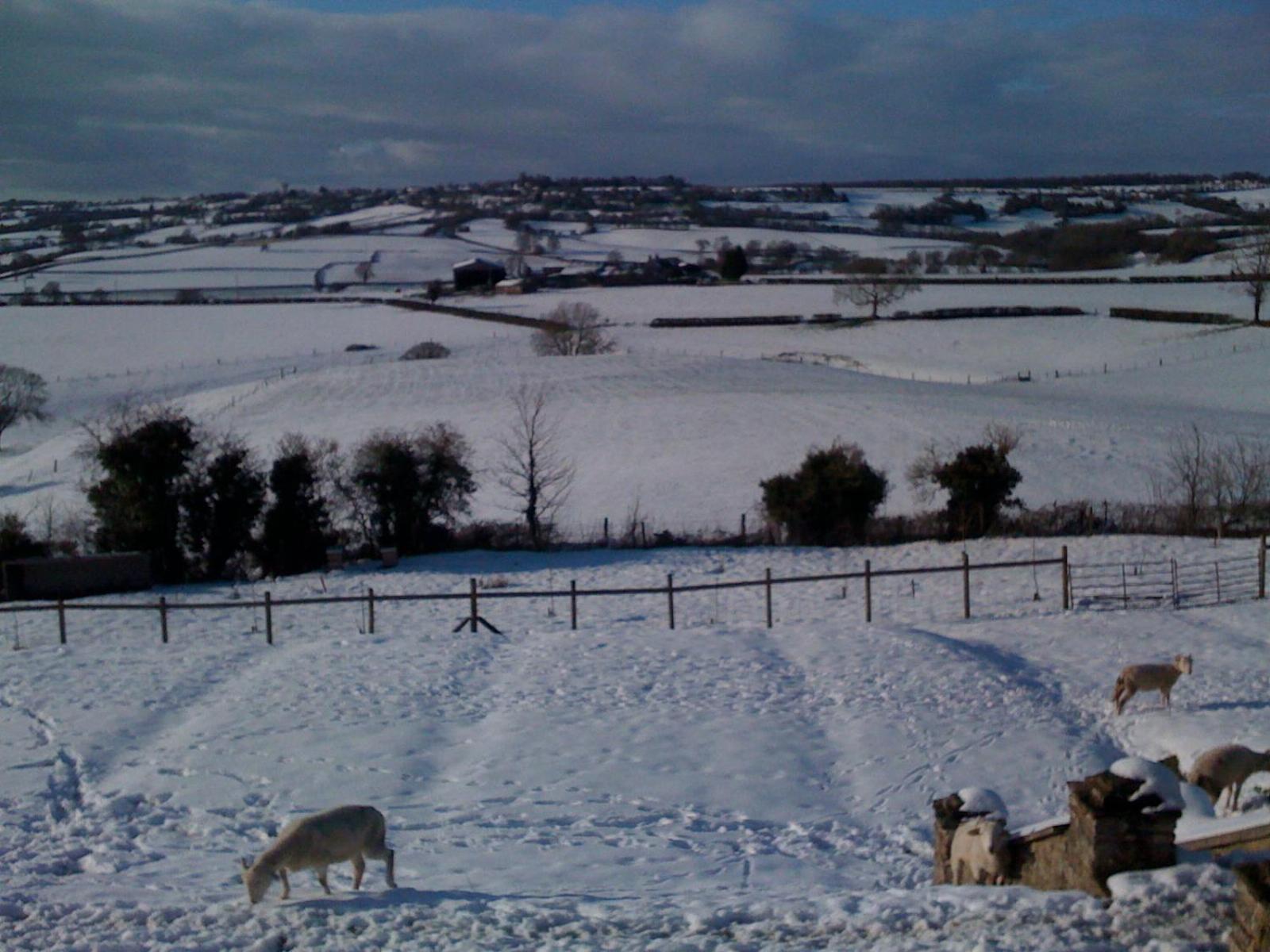 Pensjonat T'S At Lower Rudloe Farm Corsham Zewnętrze zdjęcie